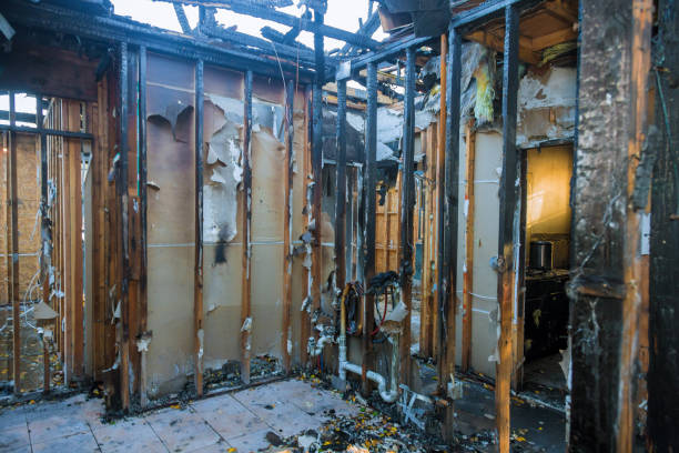 Professional Structural Rebuild technician working in Lexington, WA